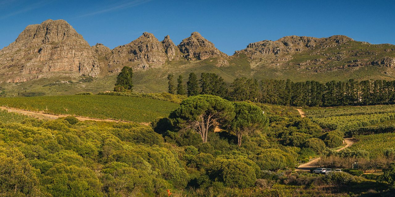 Full Day Winelands Tour